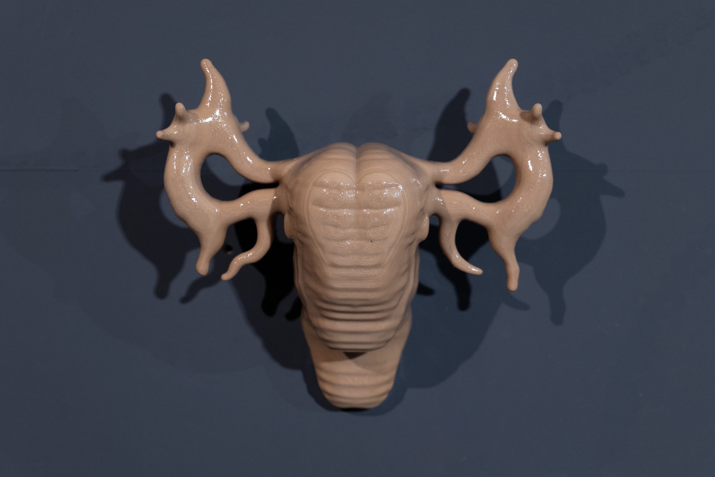 A glossy beige 3D-printed sculpture, part uterus, part antlered head, mounted on a dark blue wall